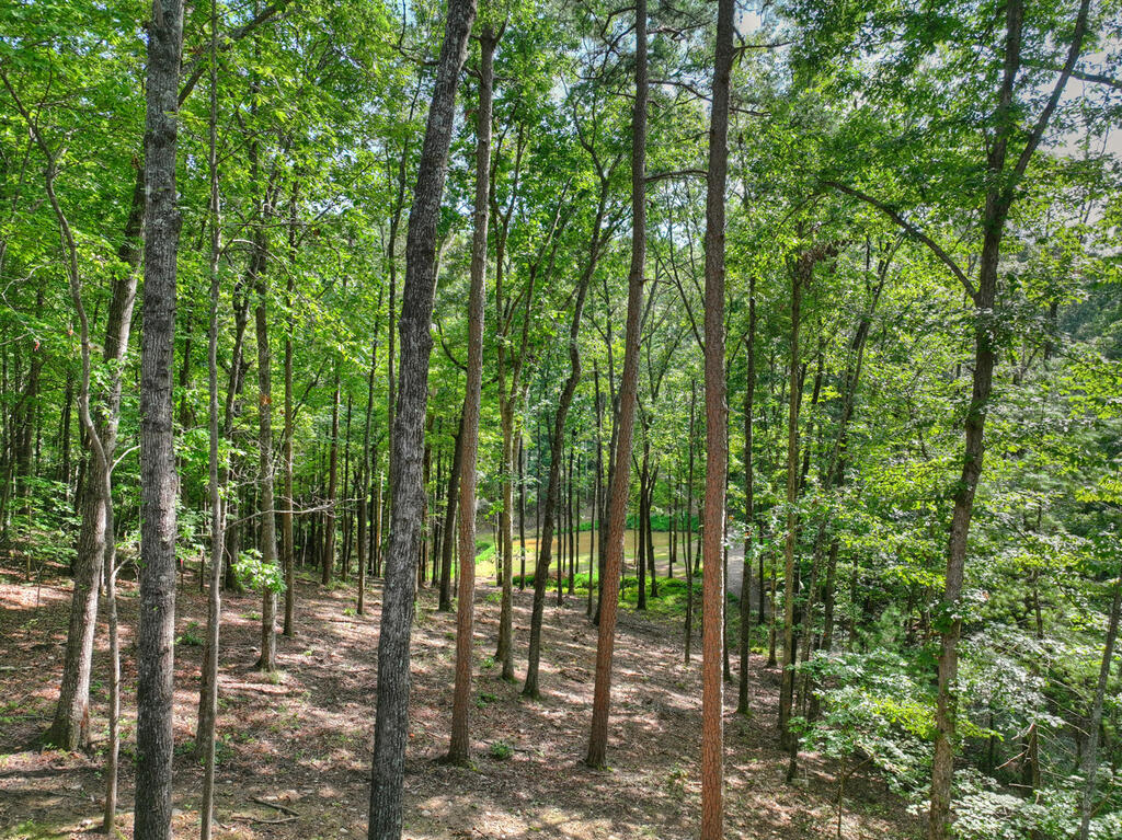 412 Mountain Tops Circle Blue Ridge, GA 30513 - Photo 60 of 66 Gallery Image 60