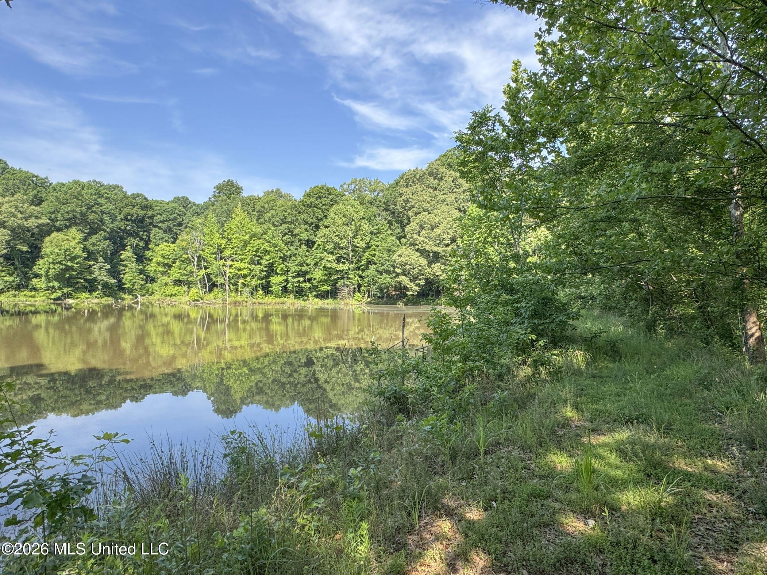 2169 Slocum Road Hernando, MS 38632 - Photo 54 of 94 8slcm11