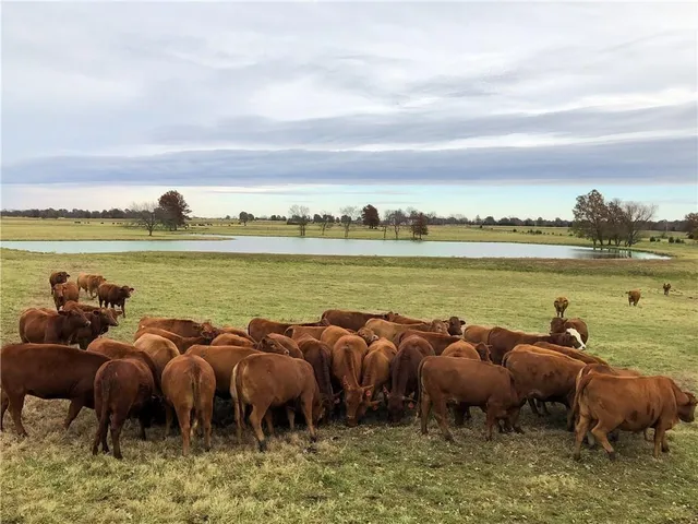 $929,000 | 376 Northwest 90th Road, Sheldon, MO 64784