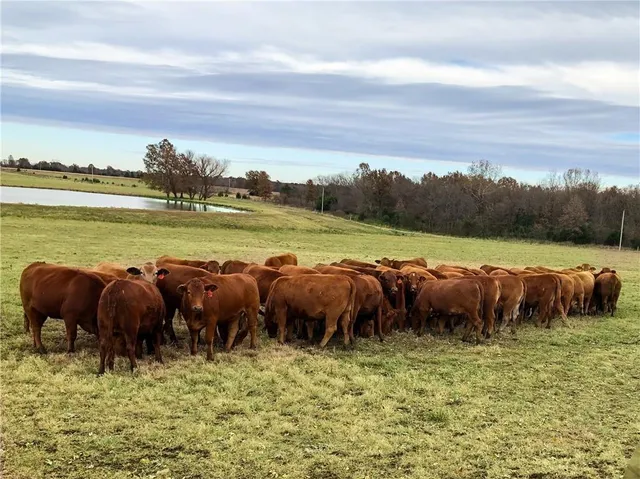 $929,000 | 376 Northwest 90th Road, Sheldon, MO 64784