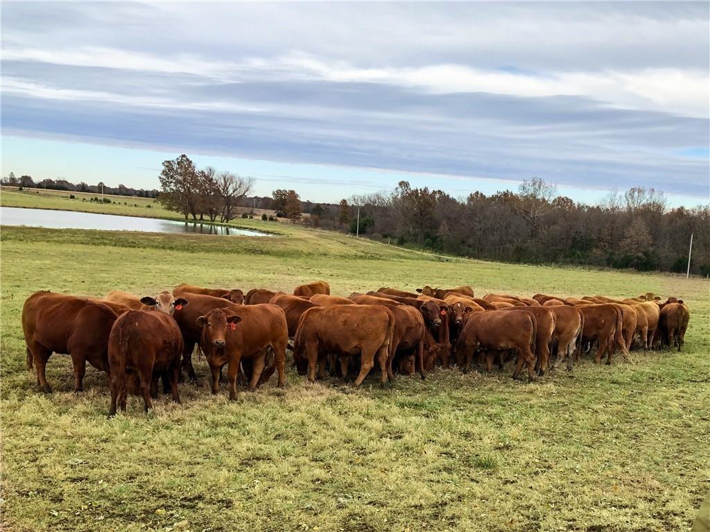 376 Northwest 90th Road Sheldon, MO 64784 - Photo 19 of 21