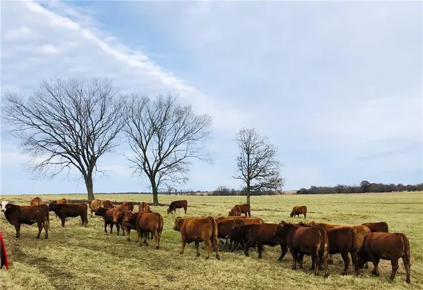 $929,000 | 376 Northwest 90th Road, Sheldon, MO 64784