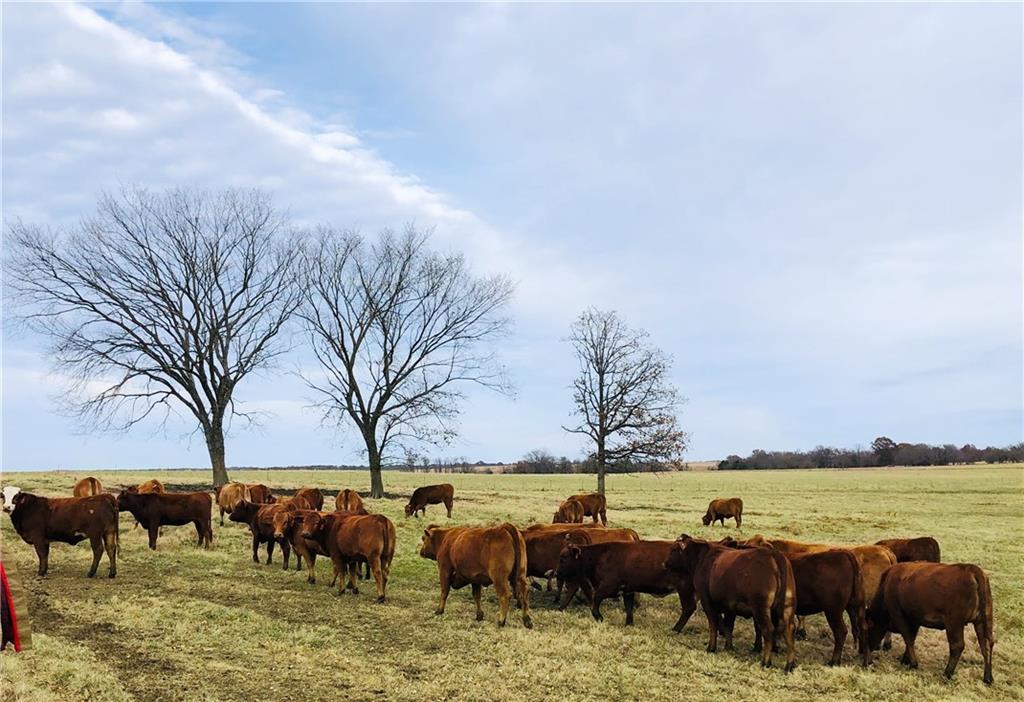 376 Northwest 90th Road Sheldon, MO 64784 - Photo 21 of 21