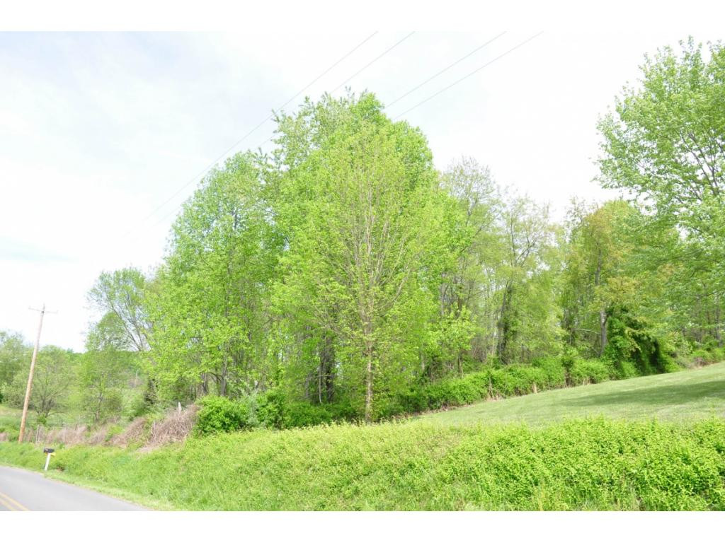 Tbd Brethren Church Road Johnson City, TN 37615 - Photo 11 of 14 Front Right Corner is TreeLine