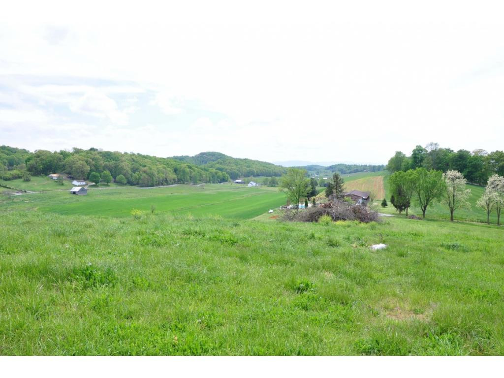 Views from Rear of Property