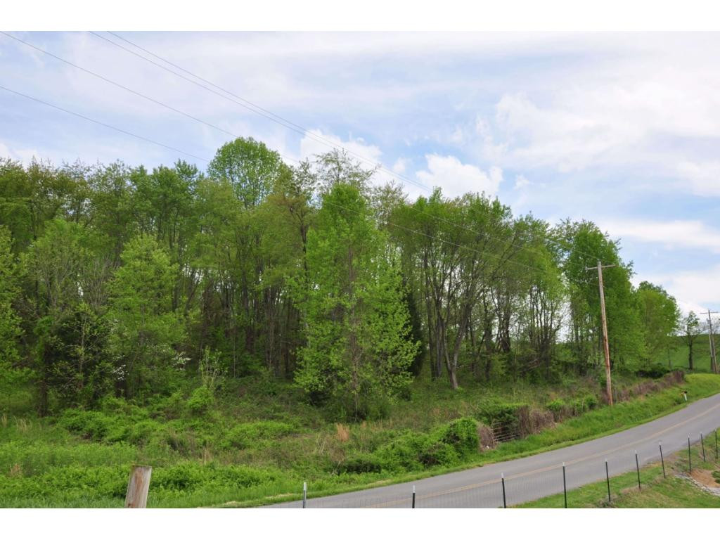 Tbd Brethren Church Road Johnson City, TN 37615 - Photo 8 of 14 Front Left Corner is Tree Line