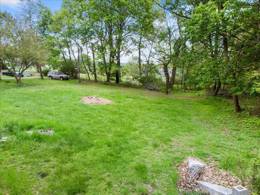 1817 English Forest Road Pulaski, VA 24301 - Photo 42 of 45 42-42