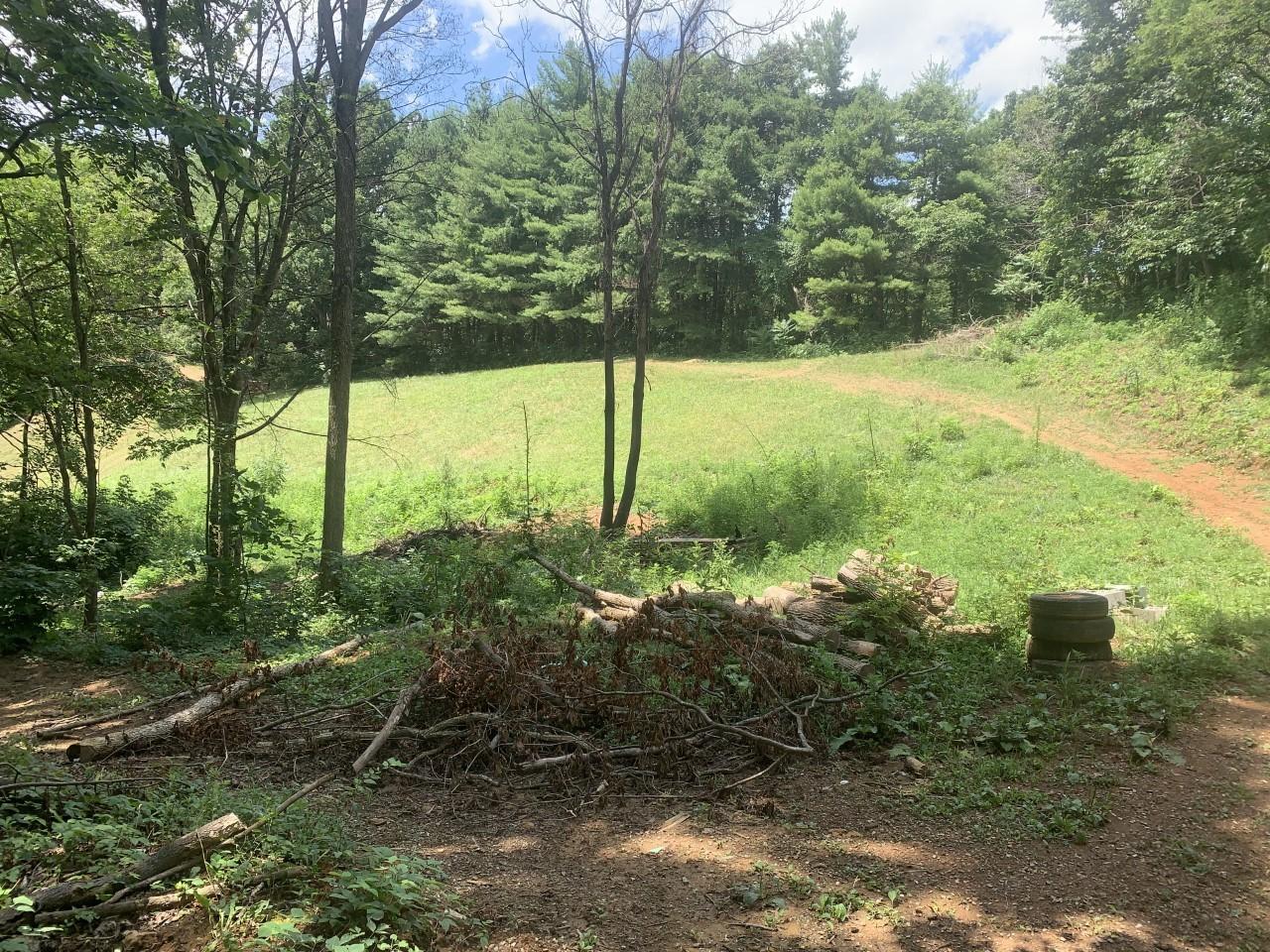 1073 Friendship Road Shawsville, VA 24162 - Photo 11 of 11 a view of a garden with plants