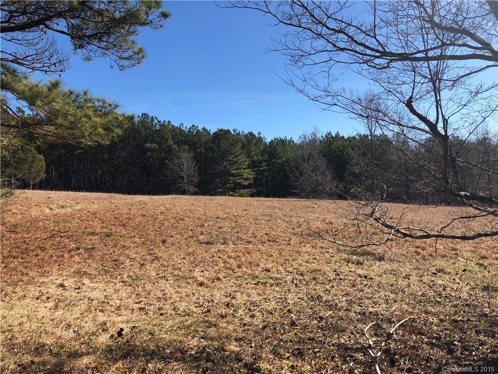999 Collinsville Road Columbus, NC 28722 - Photo 2 of 16 a view of a yard covered with snow