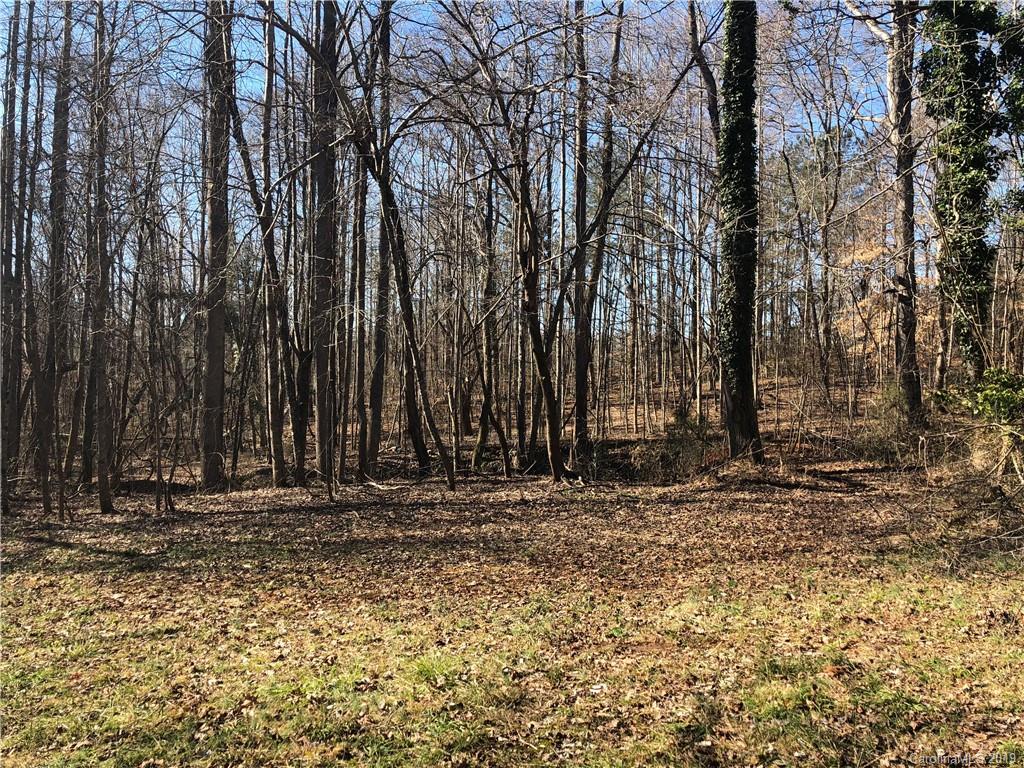 999 Collinsville Road Columbus, NC 28722 - Photo 8 of 16 a view of outdoor space with trees