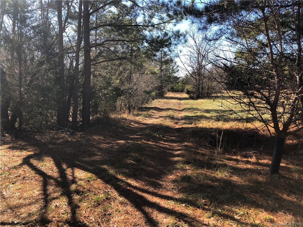 999 Collinsville Road Columbus, NC 28722 - Photo 10 of 16 a view of a yard with an outdoor space