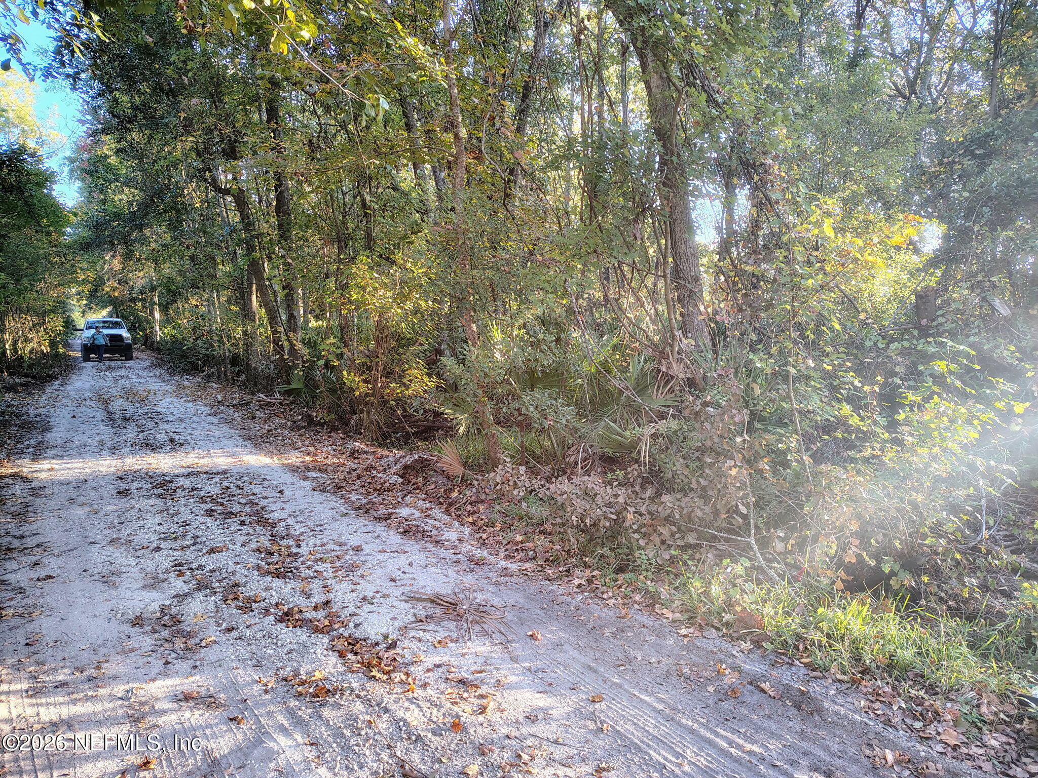 0 Lyle Road Jacksonville, FL 32218 - Photo 2 of 3 a view of a yard with large trees