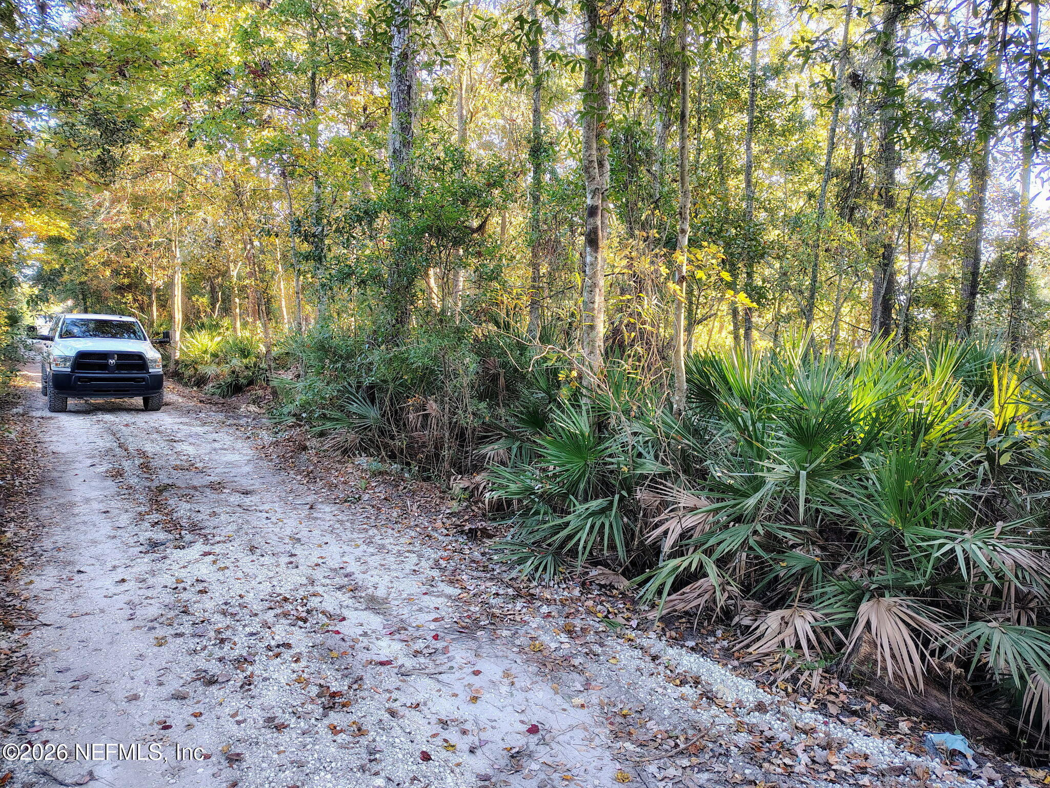0 Lyle Road Jacksonville, FL 32218 - Photo 3 of 3 a view of a yard with plants and trees
