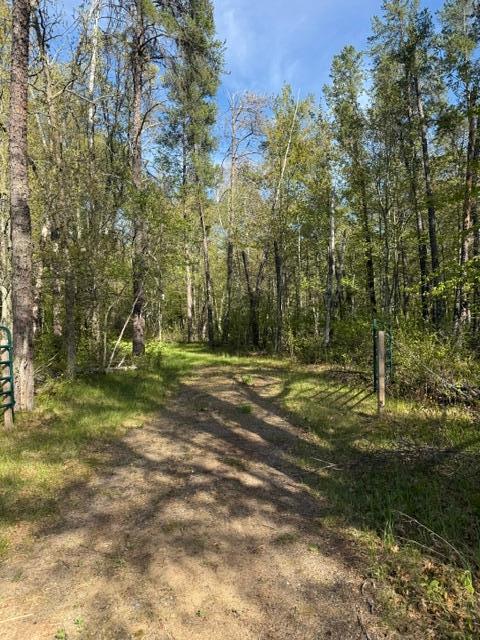 3 County Road 3 Merrifield, MN 56465 - Photo 15 of 36
