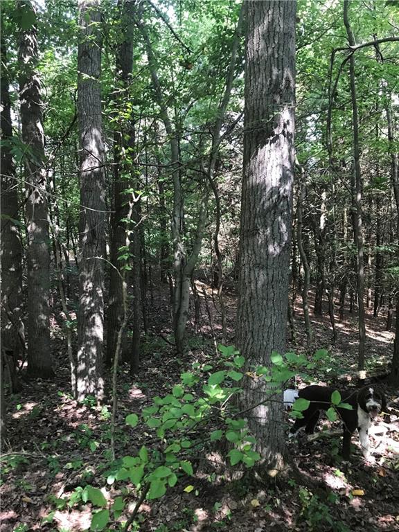 0 Merryman Road Rimersburg, PA 16248 - Photo 11 of 16