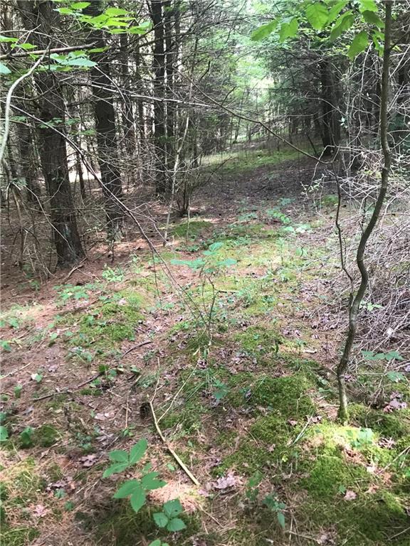 0 Merryman Road Rimersburg, PA 16248 - Photo 6 of 16