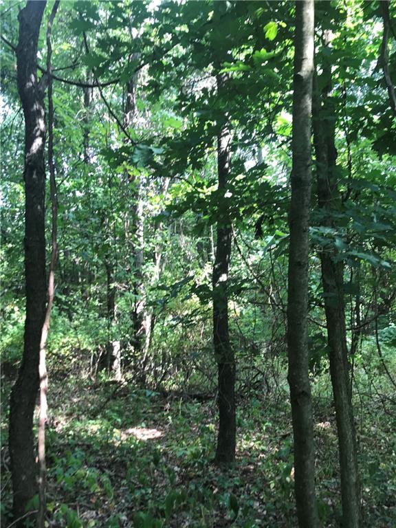 0 Merryman Road Rimersburg, PA 16248 - Photo 10 of 16