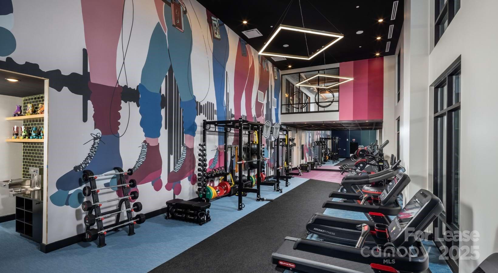 1015 North Alexander Street, Unit B5 Charlotte, NC 28206 - Photo 14 of 31 a view of gym