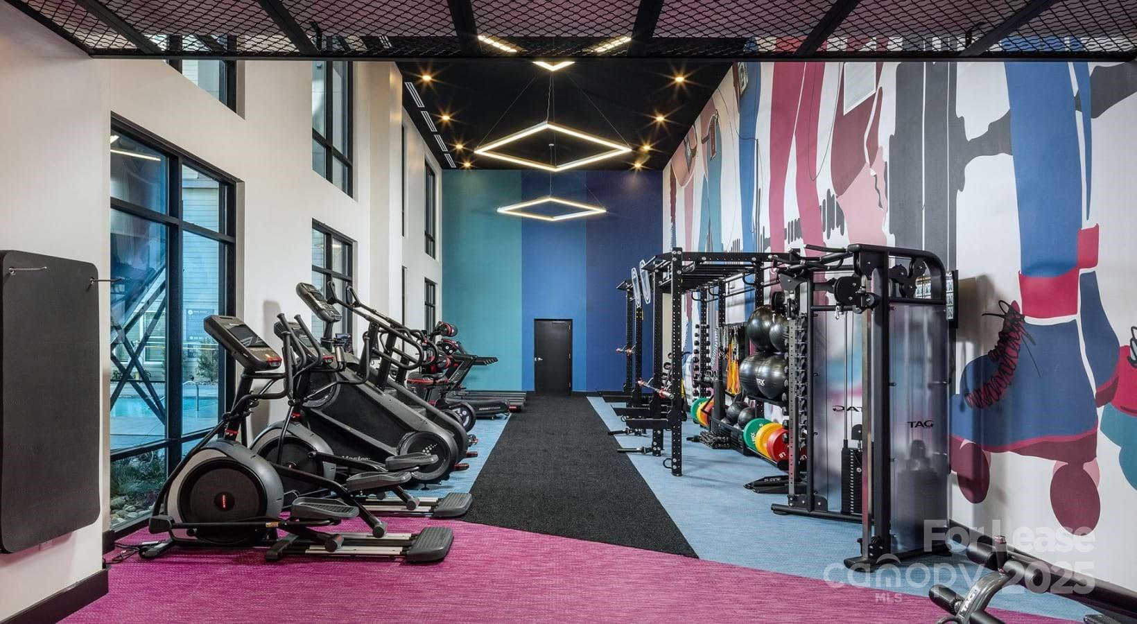 1015 North Alexander Street, Unit B5 Charlotte, NC 28206 - Photo 17 of 31 a view of a room with gym equipment