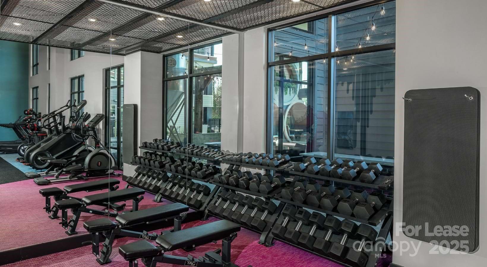 1015 North Alexander Street, Unit B5 Charlotte, NC 28206 - Photo 18 of 31 a room with lots of potted plants and a table