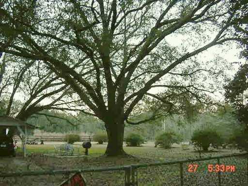 77058 South Fitzmorris Road Covington, LA 70435 - Photo 8 of 8 Gallery Image 8