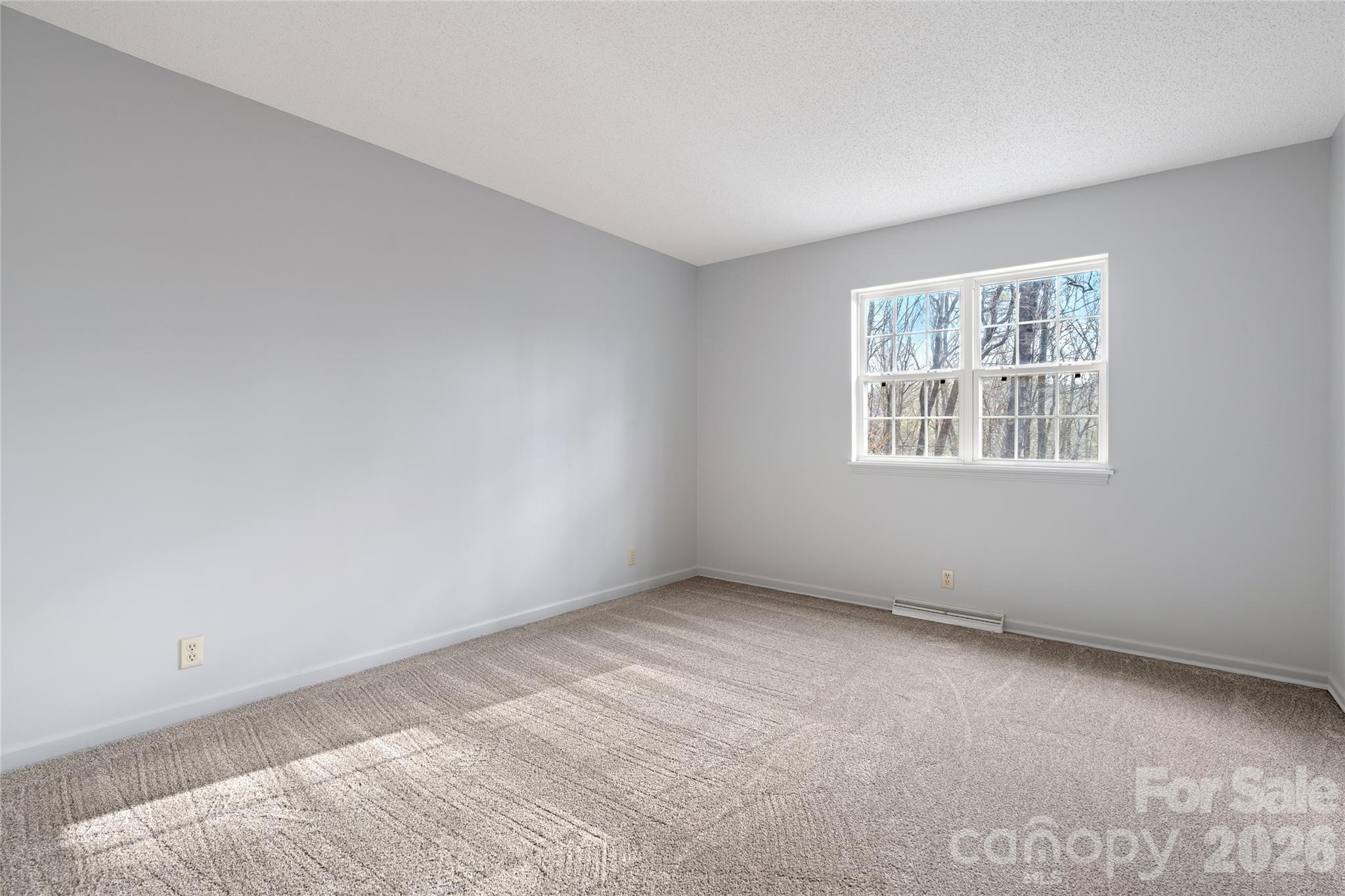177 Country Road Brevard, NC 28712 - Photo 29 of 48