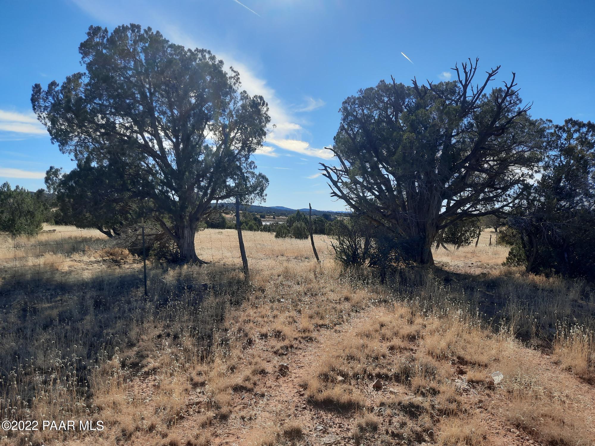 Lot 103 Off Antelope Run Road Seligman, AZ 86337 - Photo 3 of 11 a backyard of a house with lots of green space
