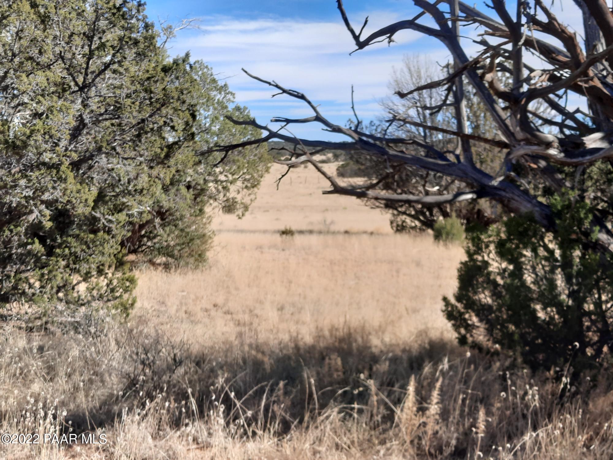 Lot 103 Off Antelope Run Road Seligman, AZ 86337 - Photo 7 of 11 a backyard of a building