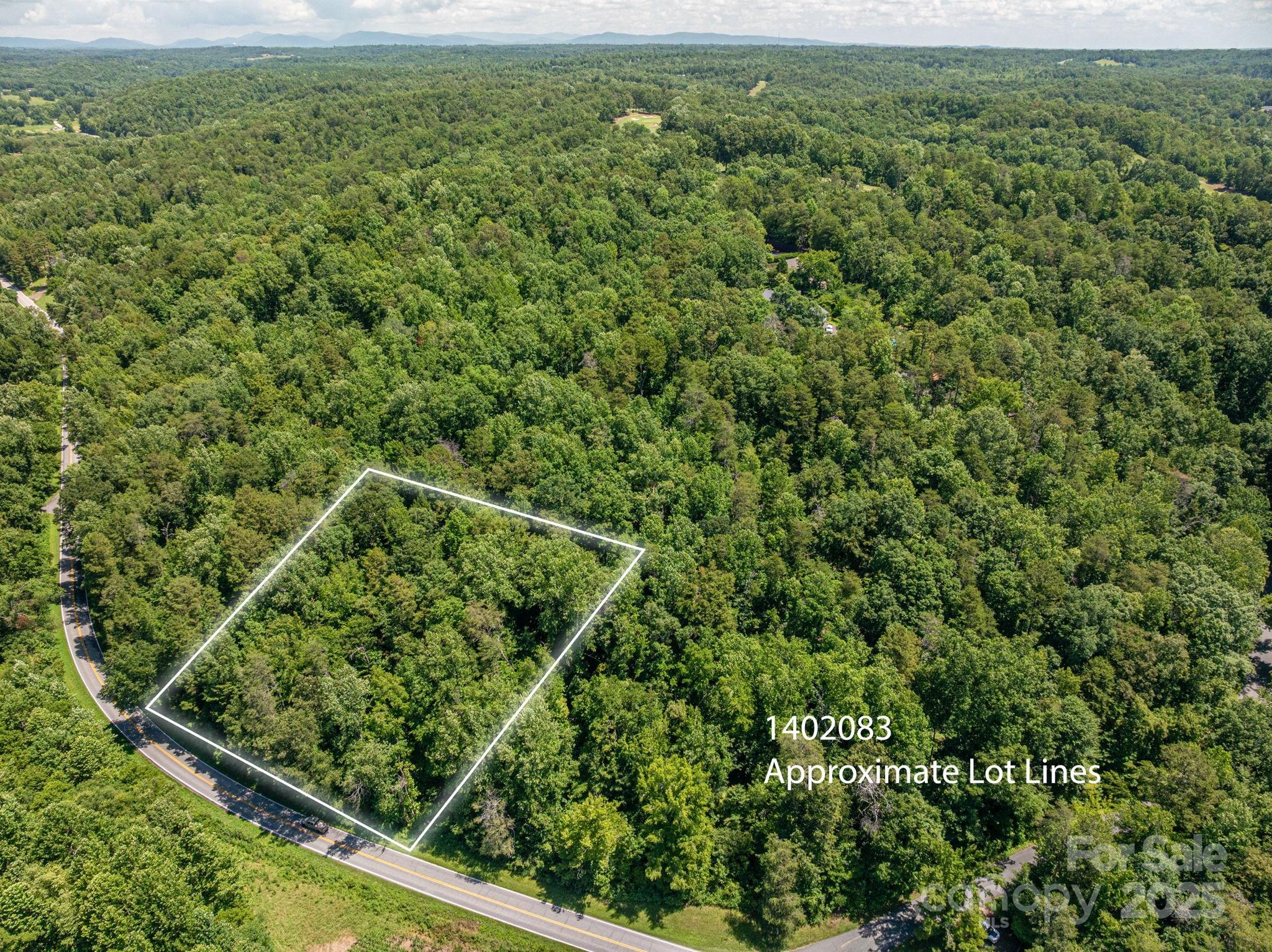 Lot 161 Coxe Road Rutherfordton, NC 28139 - Photo 2 of 19