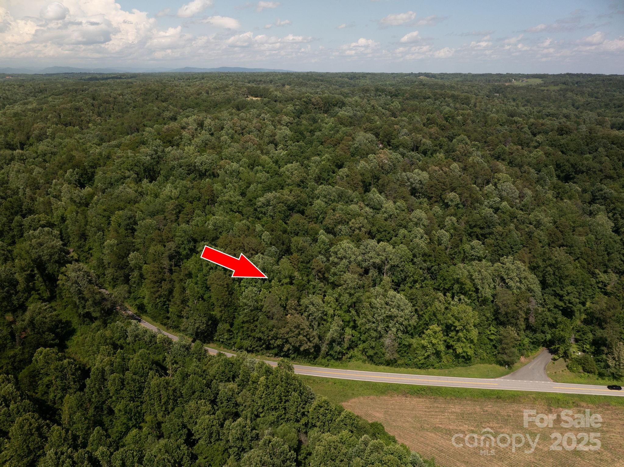 Lot 161 Coxe Road Rutherfordton, NC 28139 - Photo 3 of 19 a view of a field with an outdoor space