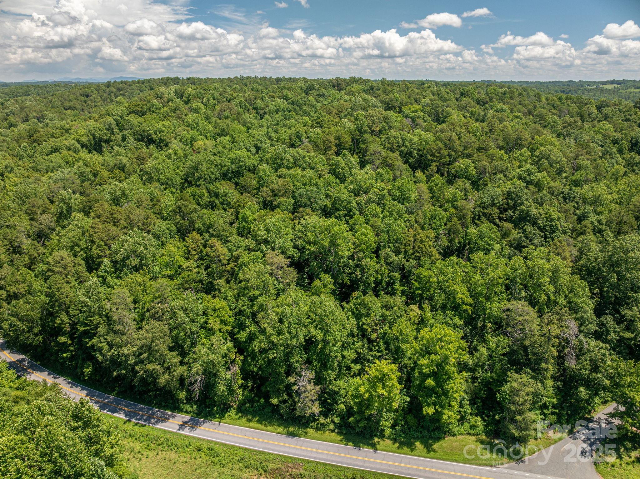 Lot 161 Coxe Road Rutherfordton, NC 28139 - Photo 4 of 19 a view of a lake view