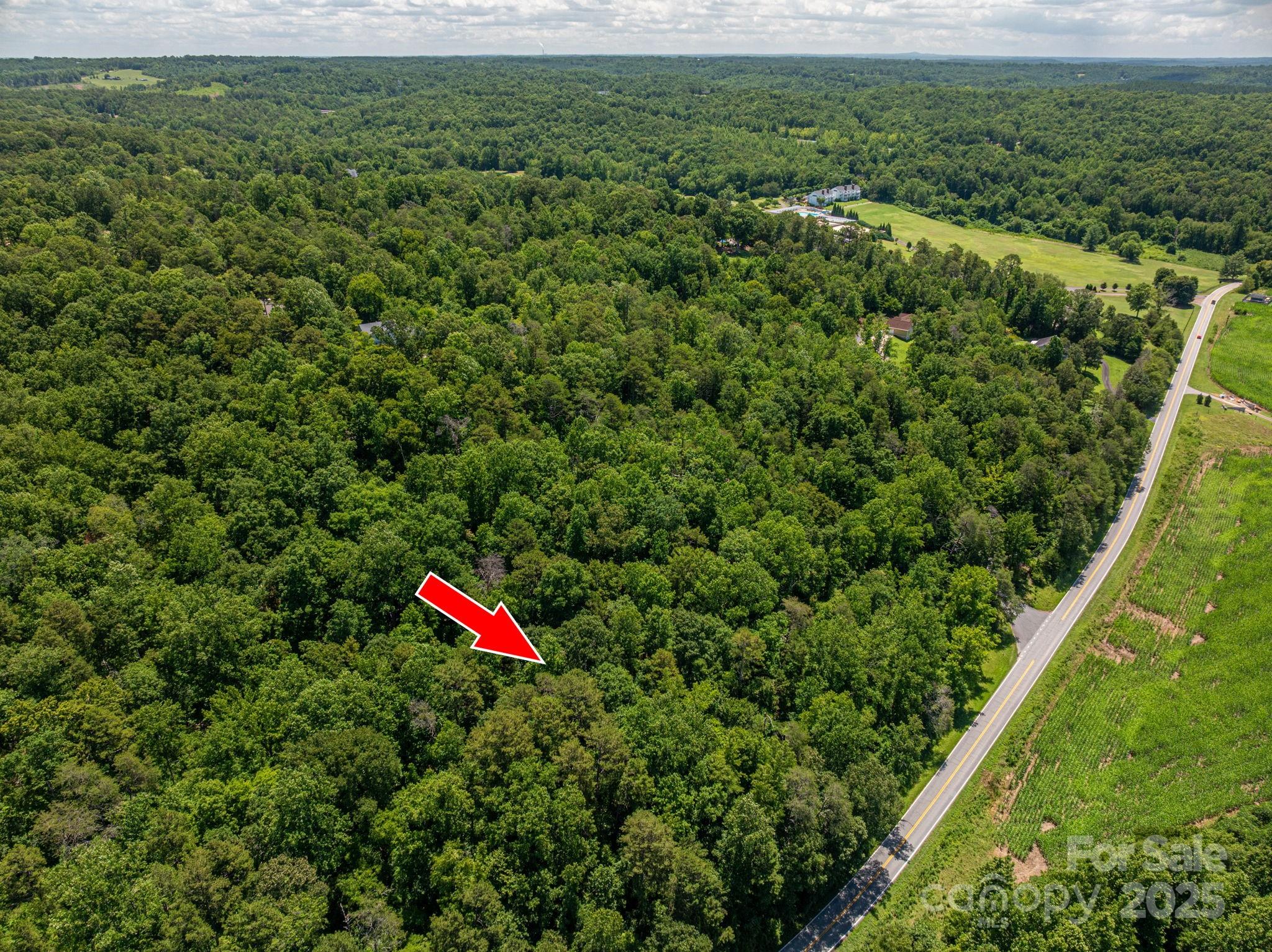 Lot 161 Coxe Road Rutherfordton, NC 28139 - Photo 6 of 19 a view of outdoor space and yard