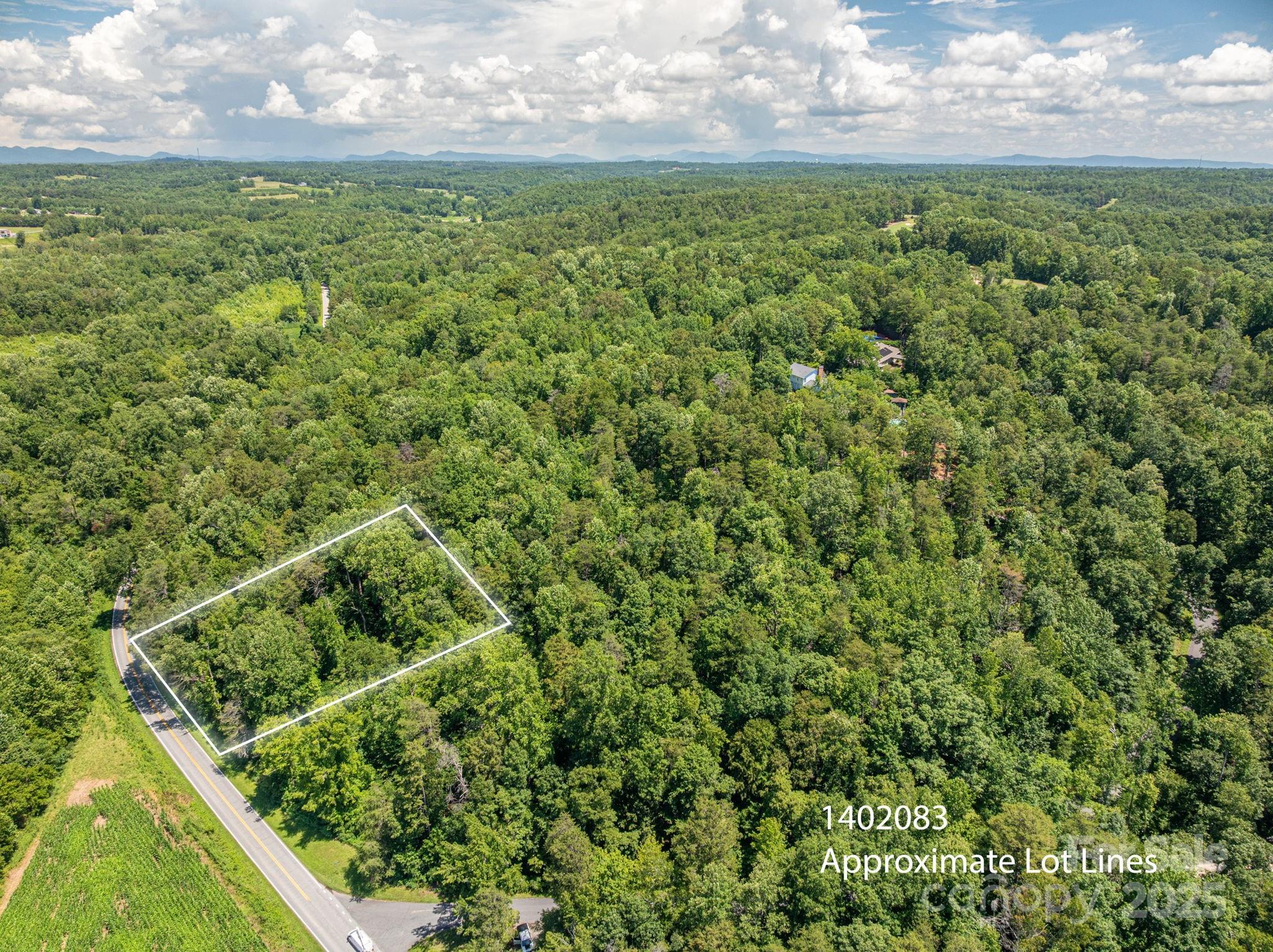 Lot 161 Coxe Road Rutherfordton, NC 28139 - Photo 7 of 19 a view of a yard with an outdoor space