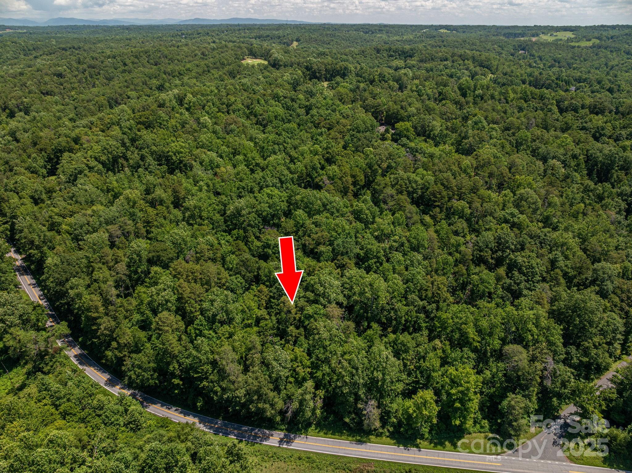 Lot 161 Coxe Road Rutherfordton, NC 28139 - Photo 8 of 19 a view of a field