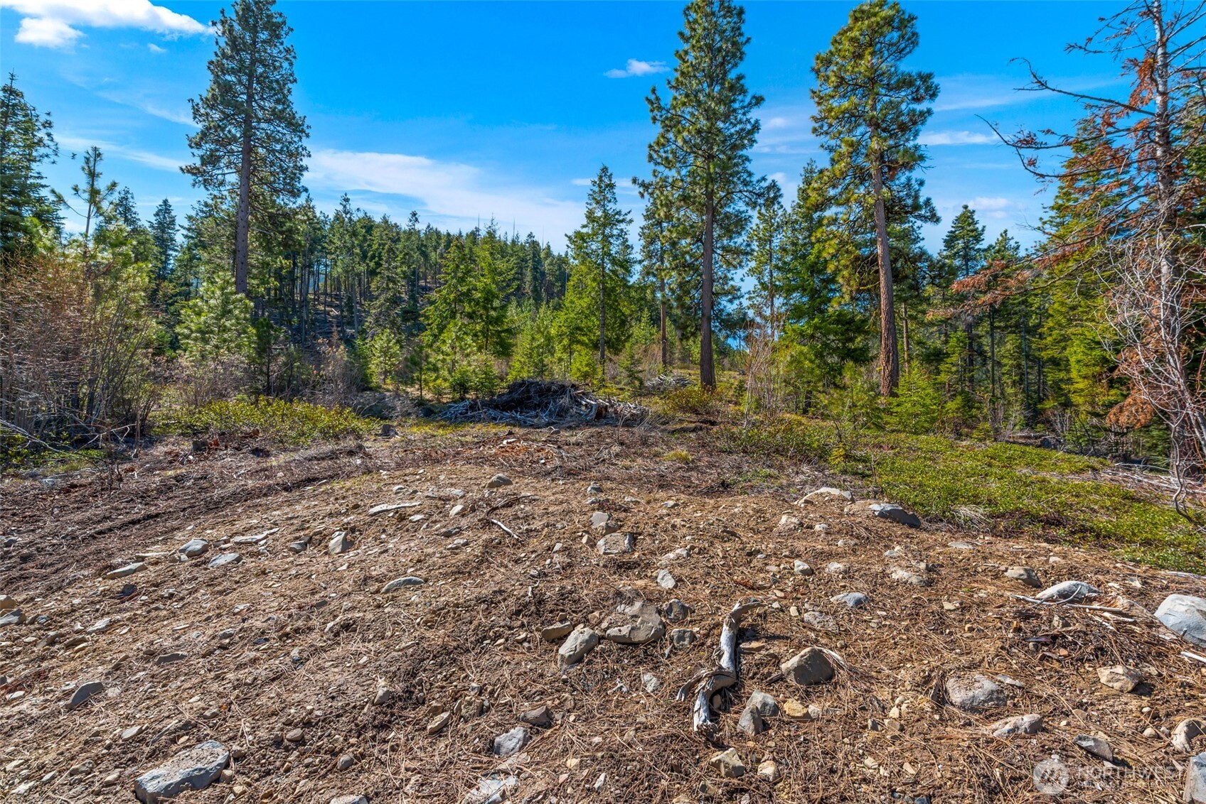 6424 Summit View Place Wenatchee, WA 98801 - Photo 28 of 32