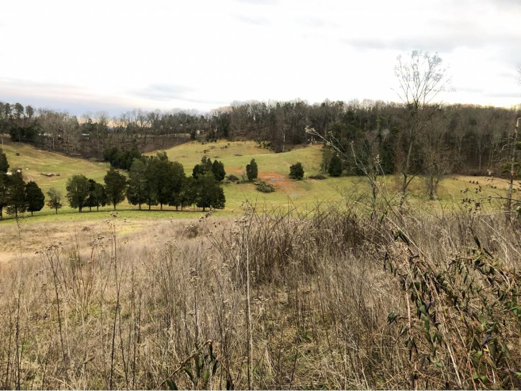 Lot 2 Pinhook Road Rogersville, TN 37857 - Photo 4 of 7 Photo 4