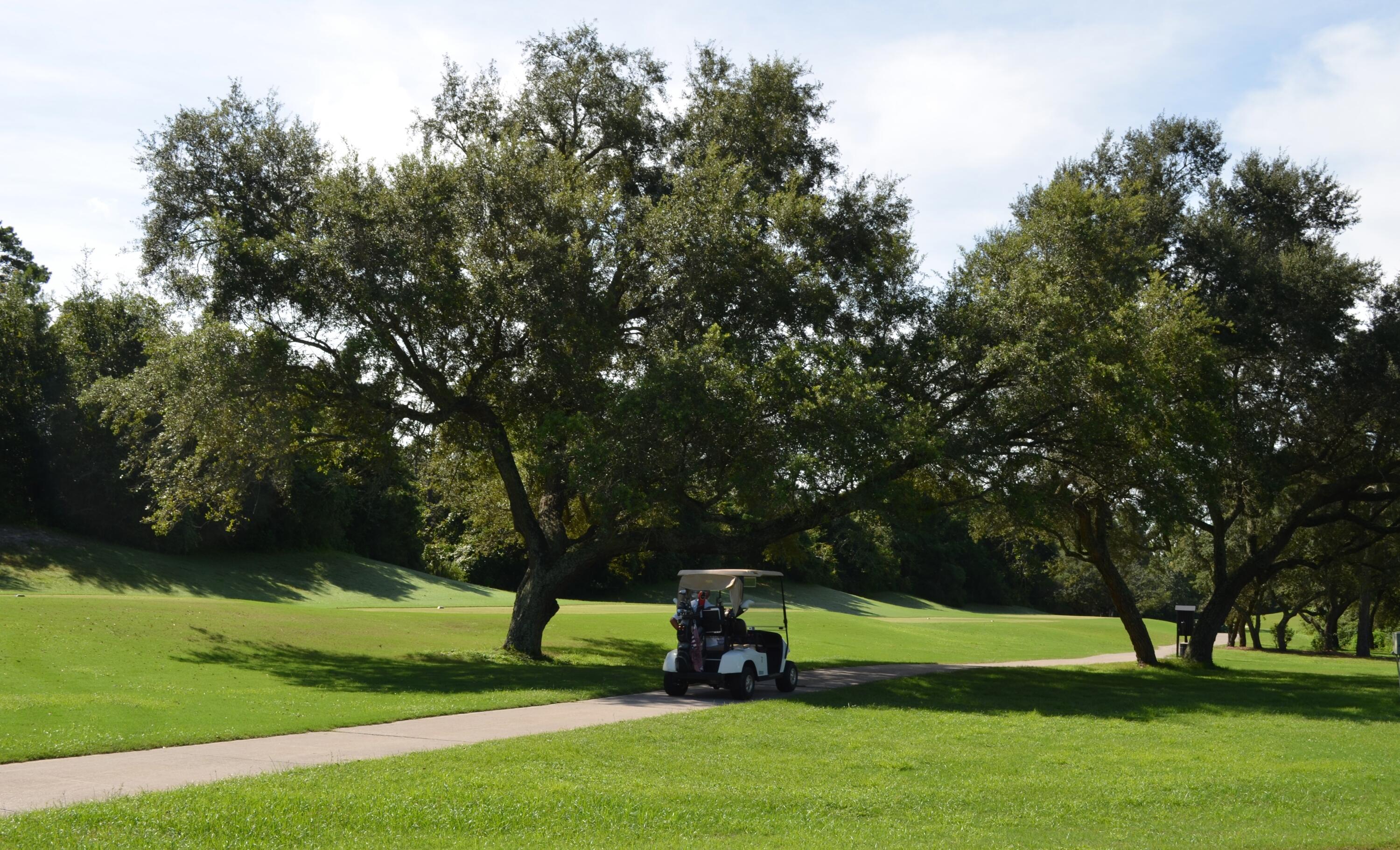 2864 P.G.A Boulevard Navarre, FL 32566 - Photo 51 of 52 a park view with a entertaining space