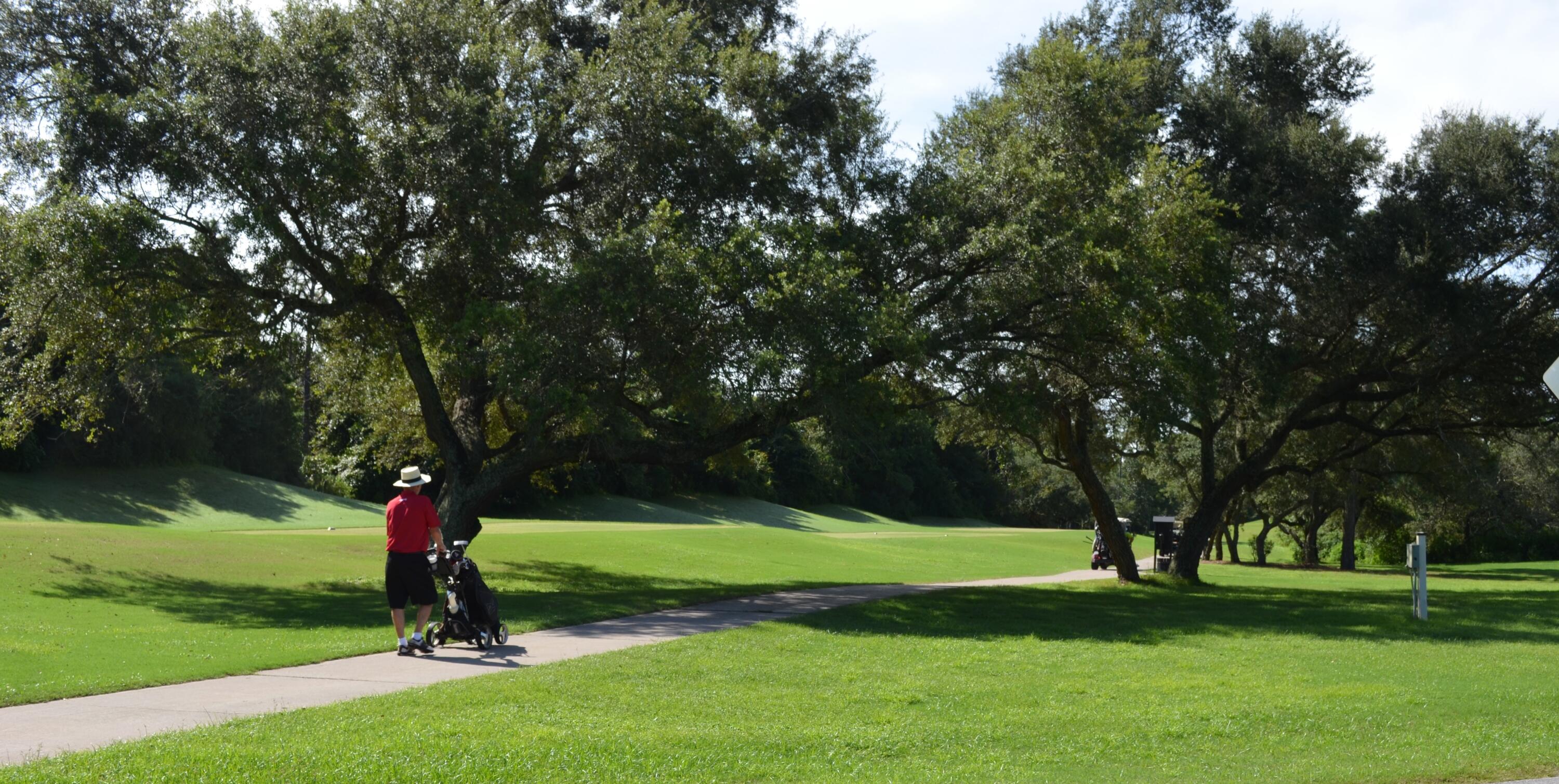 2864 P.G.A Boulevard Navarre, FL 32566 - Photo 52 of 52 DSC_0514
