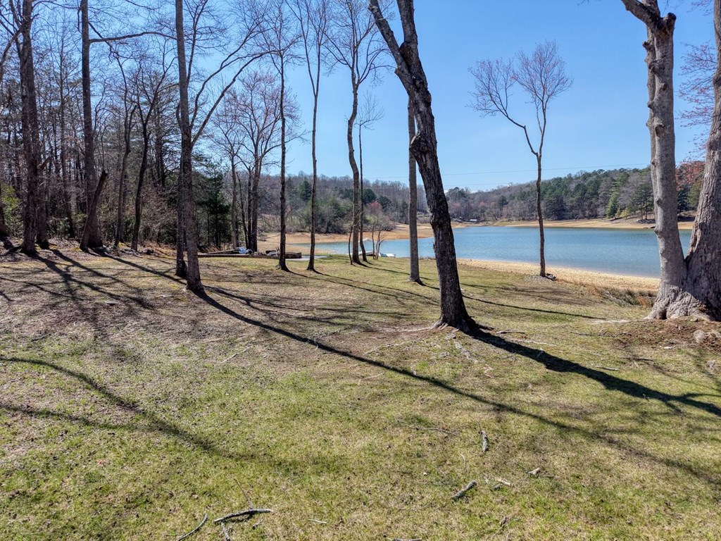 583 Fleenor Road Blairsville, GA 30512 - Photo 91 of 104