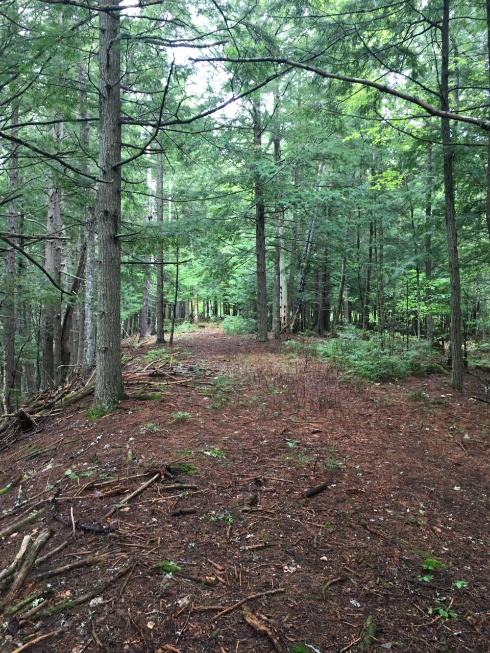 Tbd River Road Maxfield, ME 04453 - Photo 3 of 6 Lot view 3