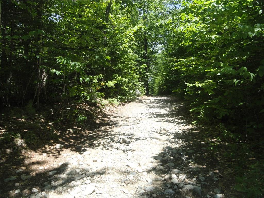 0 Goshen Road Waterford, ME 04088 - Photo 1 of 4 Goshen Road along frontage, on left