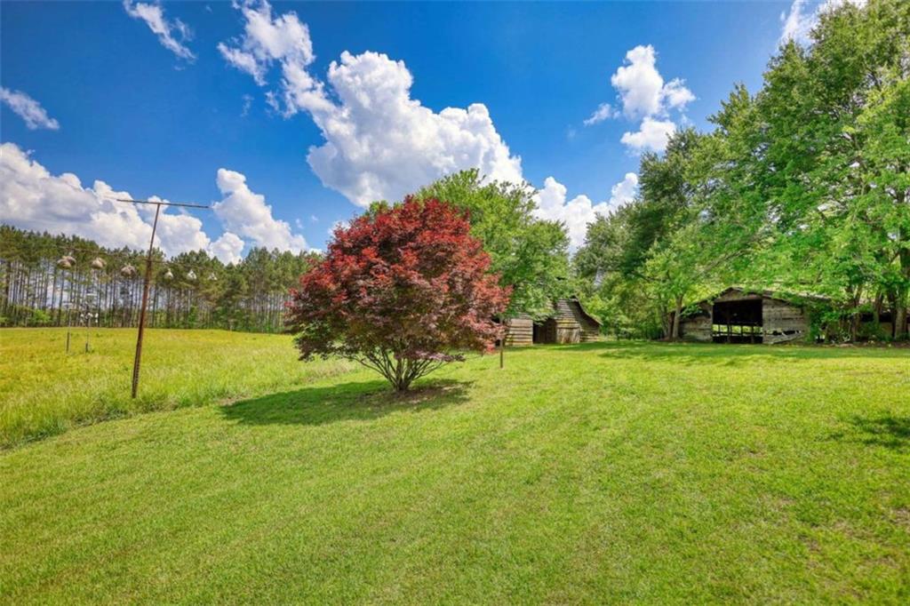 2643 Macedonia Road Franklin, GA 30217 - Photo 55 of 67