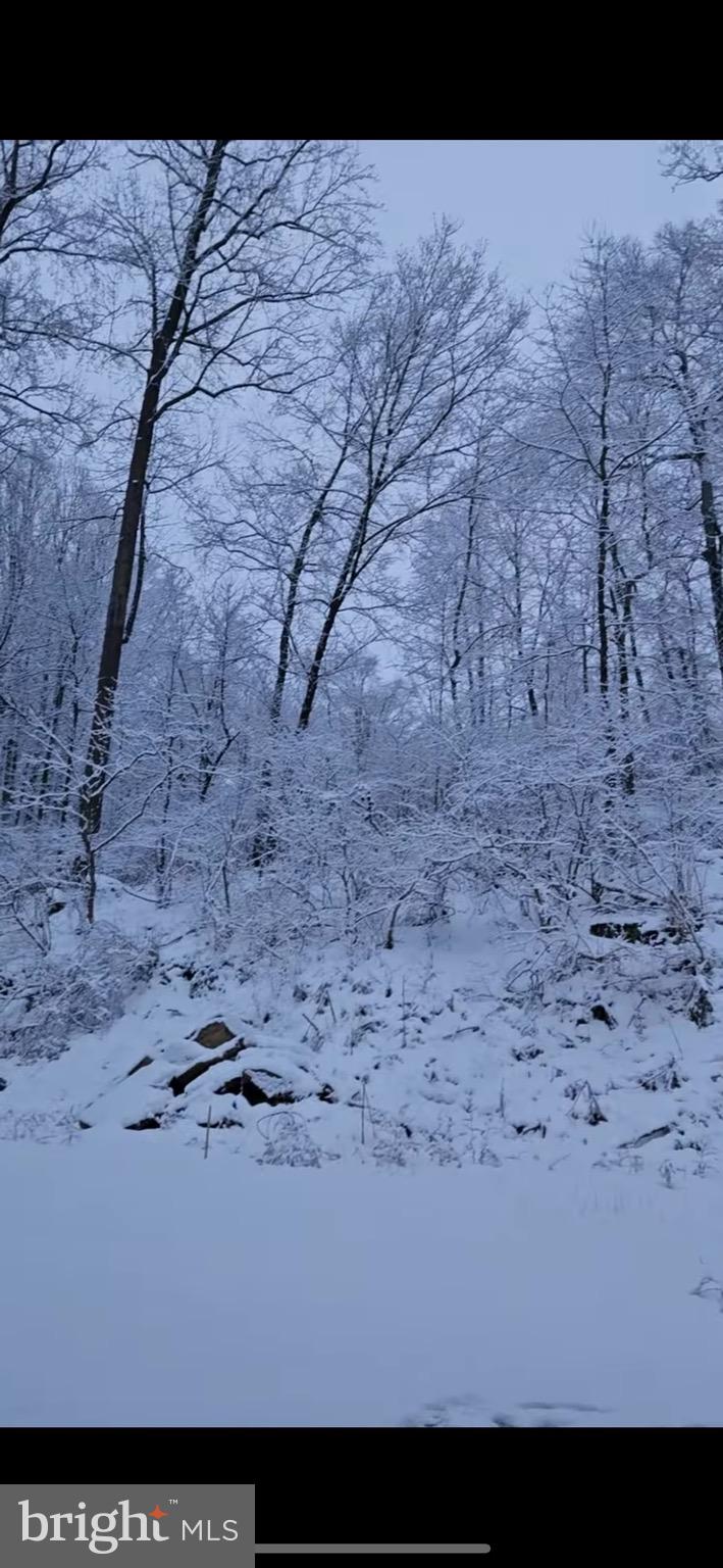 108 River Road Pequea, PA 17565 - Photo 2 of 4