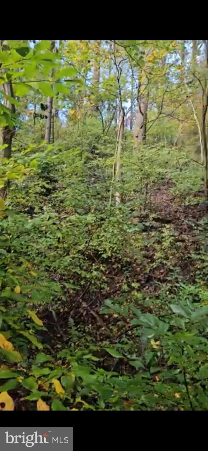 108 River Road Pequea, PA 17565 - Photo 3 of 4