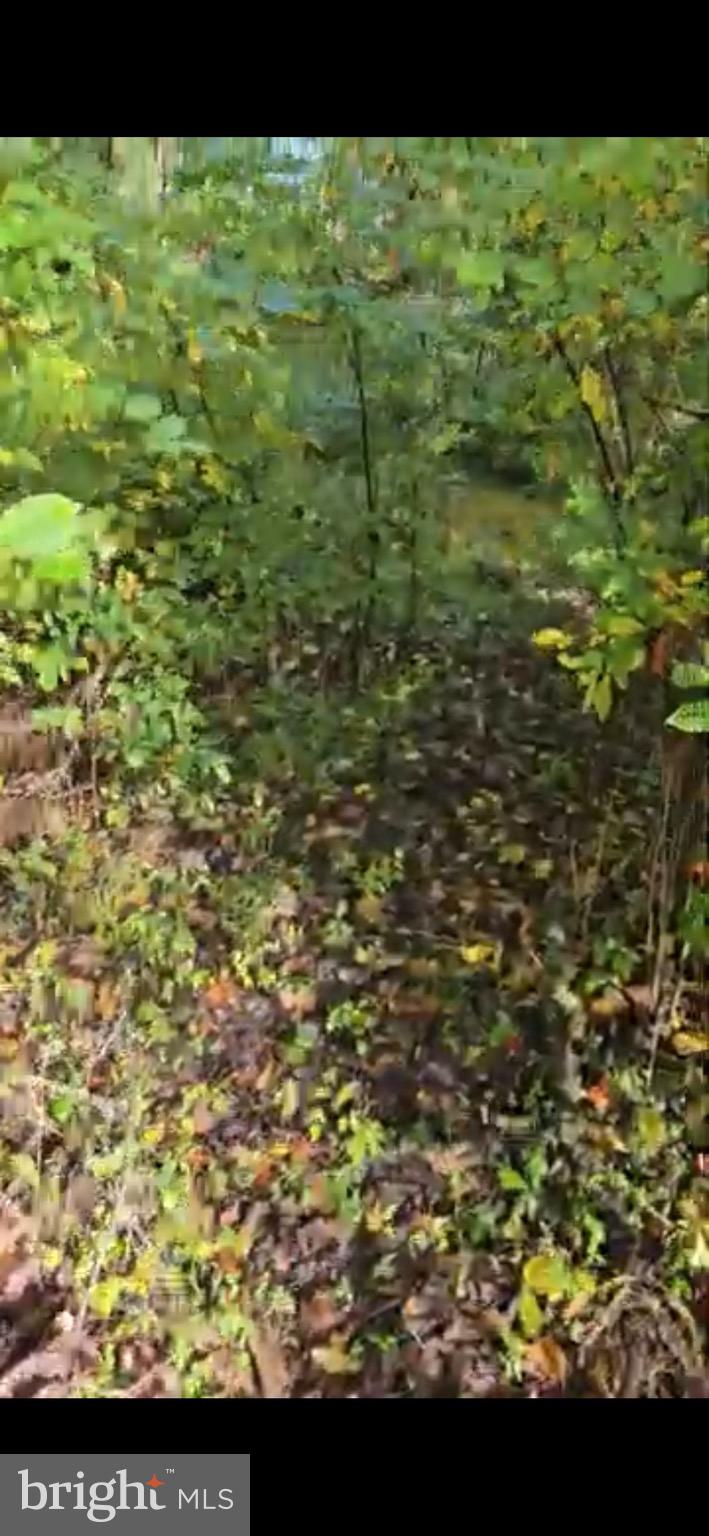 108 River Road Pequea, PA 17565 - Photo 4 of 4