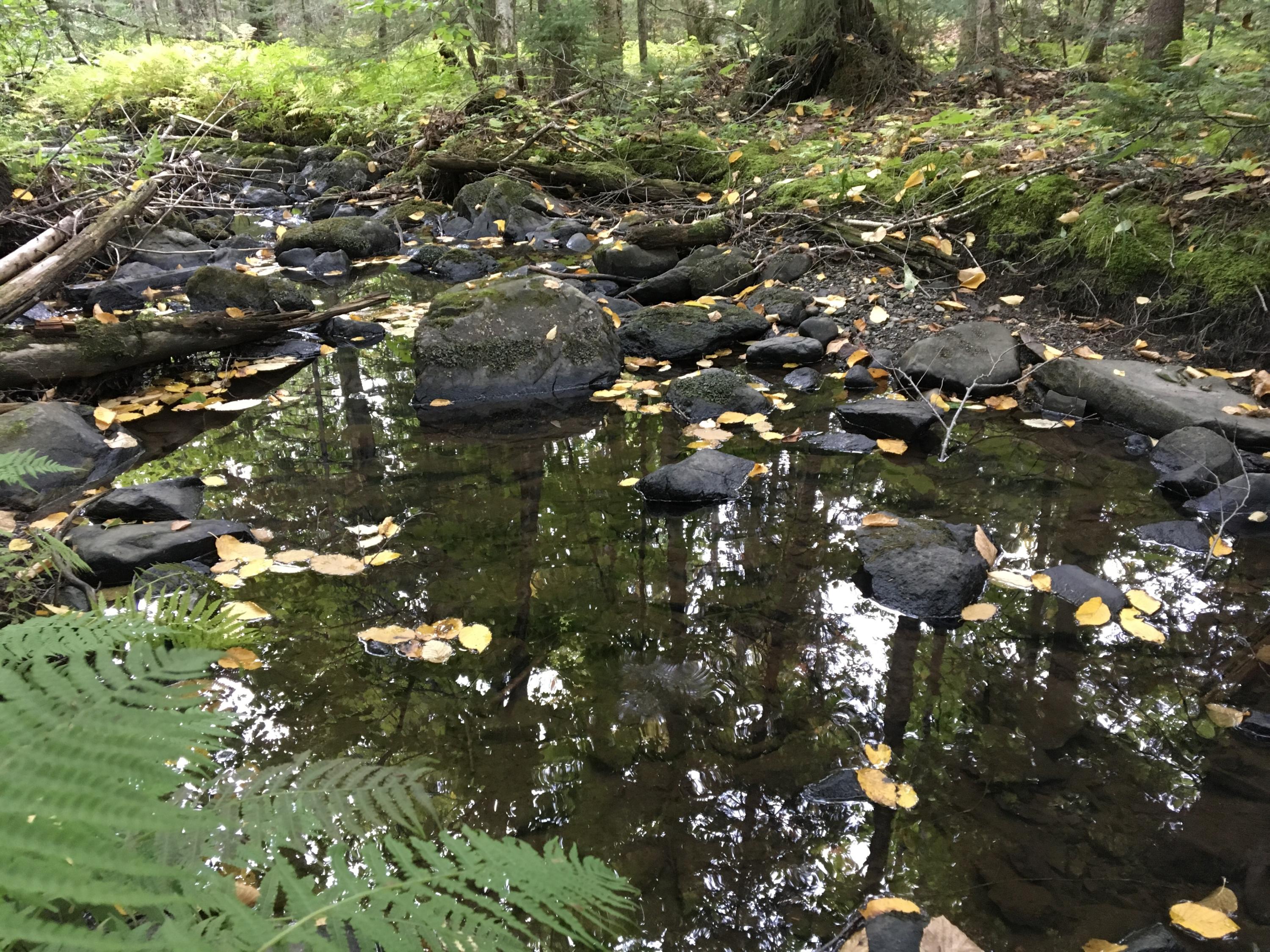 Lot 69 Cyr Rd Mount Mount Chase, ME 04765 - Photo 4 of 14 Photo Sep 17, 1 09 52 PM