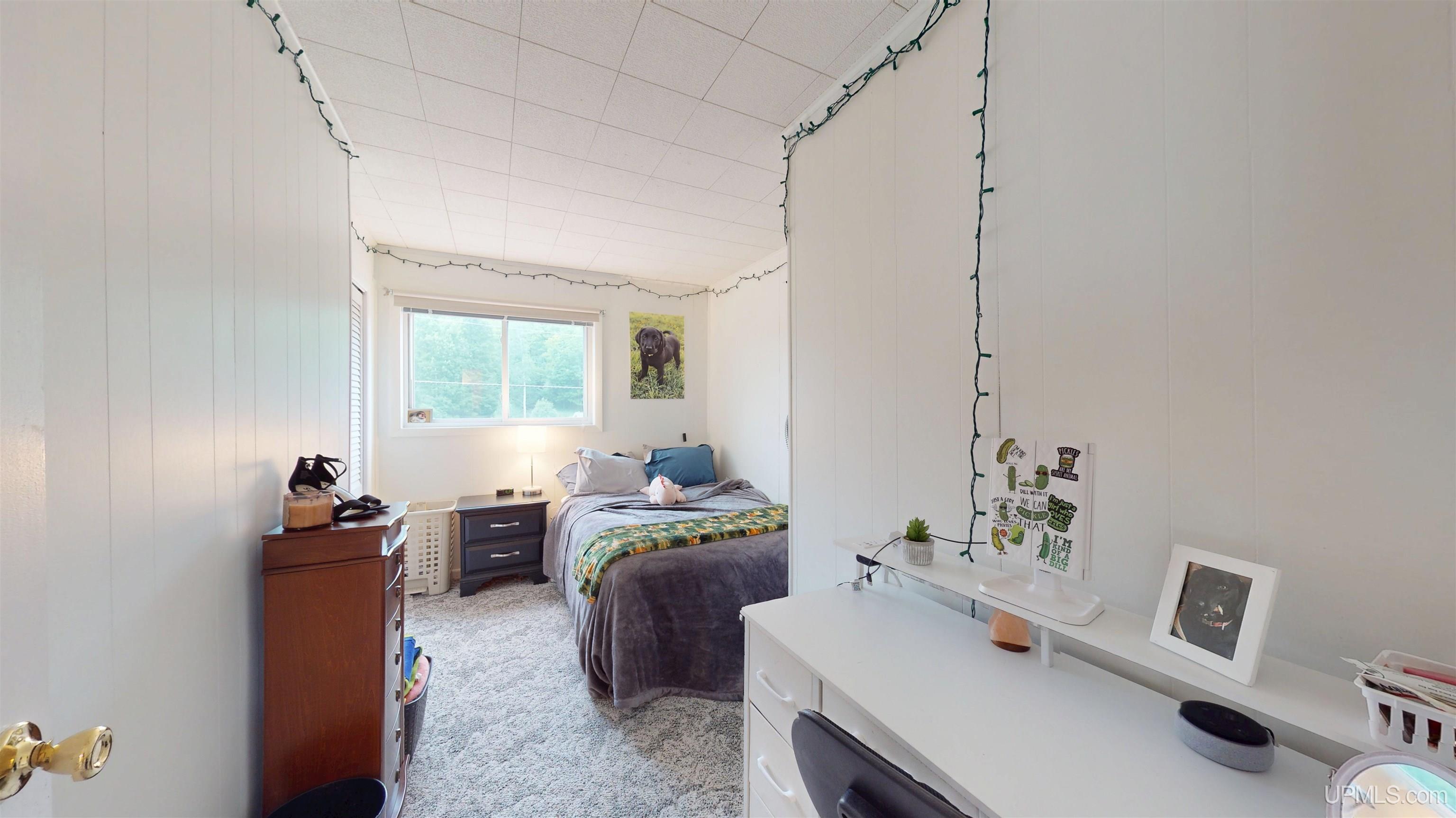 747 South Pine Street Ishpeming, MI 49849 - Photo 24 of 60