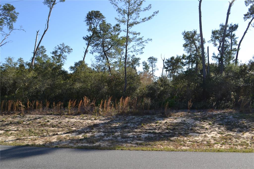 0 Southwest 178th Lane Road Ocala, FL 34473 - Photo 1 of 1 Gallery Image 1