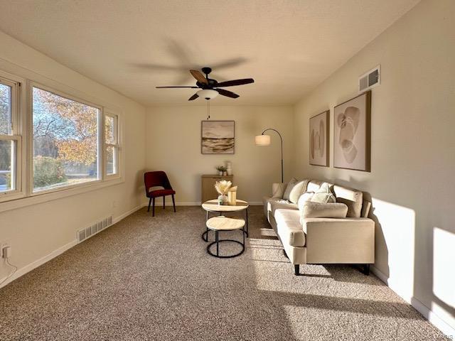 825 Mullanphy Road Florissant, MO 63031 - Photo 3 of 12 Gallery Image 3