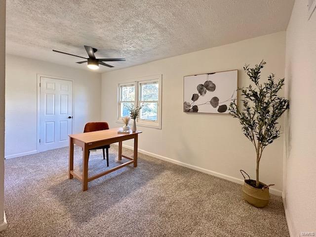 825 Mullanphy Road Florissant, MO 63031 - Photo 4 of 12 Gallery Image 4